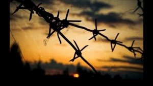 Беломорканал - -- Верни мне крест