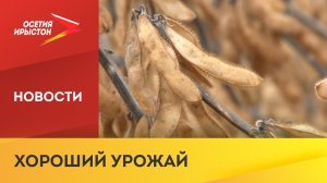 В Беслане завершают уборку сои