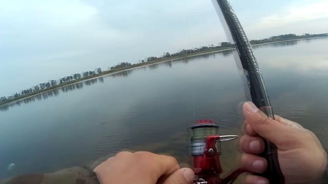 Ловля леща, река Неман в городе Советске Калининградской области смотреть онлайн