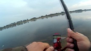 Ловля леща, река Неман в городе Советске Калининградской области