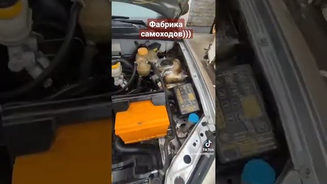 фабрика самоходов особовых)) #деу #ланос#daewoo#lanos