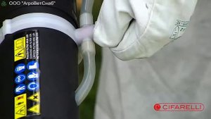 Cifarelli M1200 с бустерным насосом для подкачки бака для жидкостей