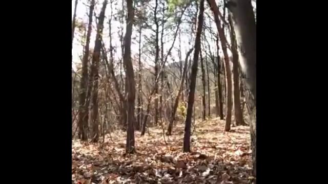 ШОК! КАМЕРА ЗАСНЯЛА ПРИЗРАКА! Russian ghost! смотреть онлайн