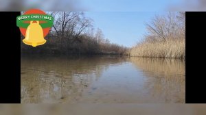 Плотва в марте-апреле.