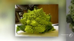 Капуста_брокколи. В_каких_условиях_выращивать_брокколи
