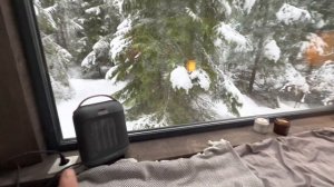 Экскурсия по Dzen forest. Локация