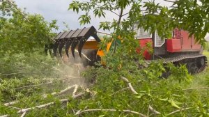 Гусеничная самоходная машина ТЛП-4М-038 ГСТ ПРО с лесотехническим мульчером SERRAT FX+