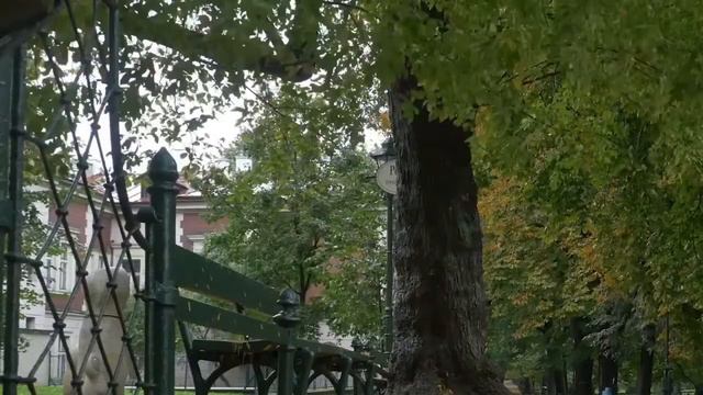 «ОЧАРОВАНИЕ ВЕСНЫ» Красивое цветение природы, Весенняя свежесть и Прекрасная музыка души