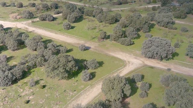 MAX Orbita 27 km h смотреть онлайн