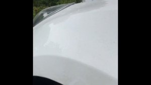 Стук подвески Ford Focus 3. Откуда звук??