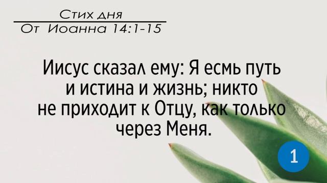 Тефиллин. От Иоанна 14:15. Повторение стихов 100 раз смотреть онлайн