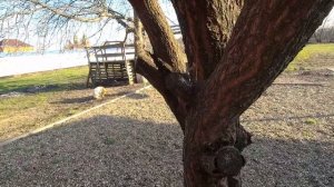 Станица ПЛАТНИРОВСКАЯ?Первый обзор нашего участка и дома в станице Краснодарского края