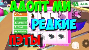 Адопт ми - трэйдим, ищем редких пэтов!