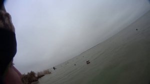 Охота на Утку и Гуся))) 13.12.20.15 год)))