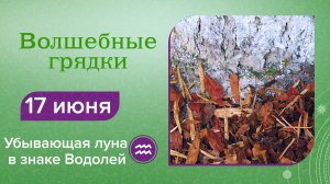 Волшебные грядки, 17 июня. Убывающая луна в знаке Водолей