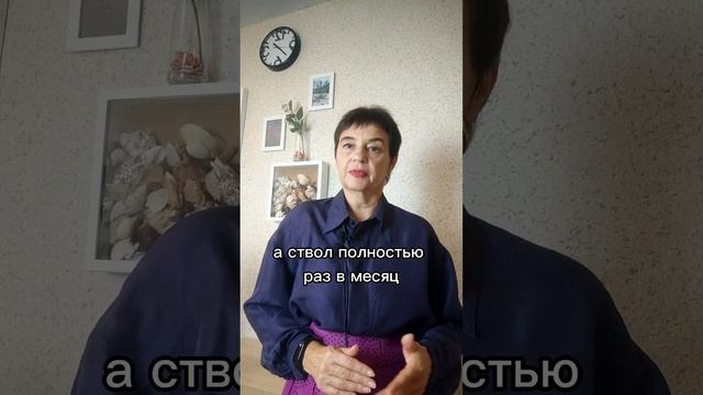Влажная уборка подъездов смотреть онлайн