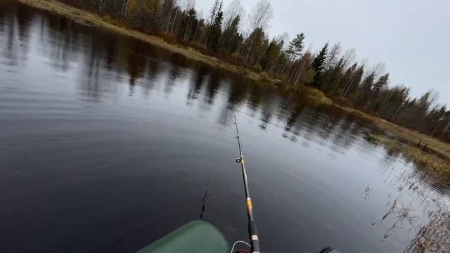 РЫБАЛКА НА ЛОДКЕ С МОТОРОМ! ОТДЫХ НА ПРИРОДЕ У КОСТРА. Тайга