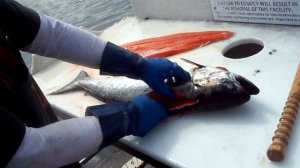 Capt. James: Alaskan King Salmon fillet master