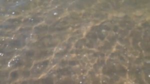 Дикие пляжи Каспийского моря пляж Тюркан