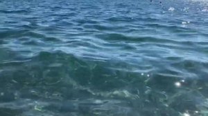 ПОГОДА ТУРЦИЯ п. ГЕЙНЮК