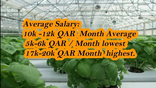 Agriculture Jobs Salary in UAE I Agriculture Engineer jobs Salary in Gulf  Countries