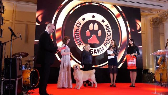 Гала-ужин Лучшие собаки России 2020  Best Russian Dog 2020