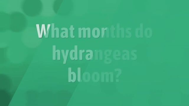 What time of year do rhododendrons bloom? смотреть онлайн