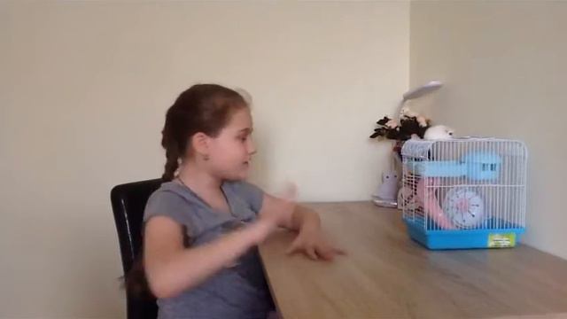Всё о хомяках 🐹 советы  по уходу за хомяком