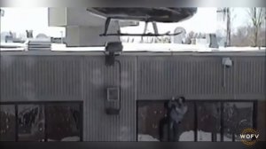 Побег из тюрьмы. Или невероятные уходы от копов))