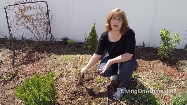 EASY One Step Compost! смотреть онлайн