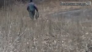 Спасение рыбы из пересохшего пруда!