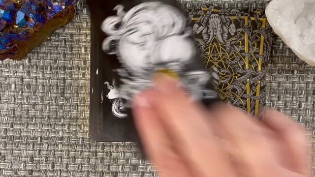 The Octopus Tarot Unboxing and First Impressions смотреть онлайн