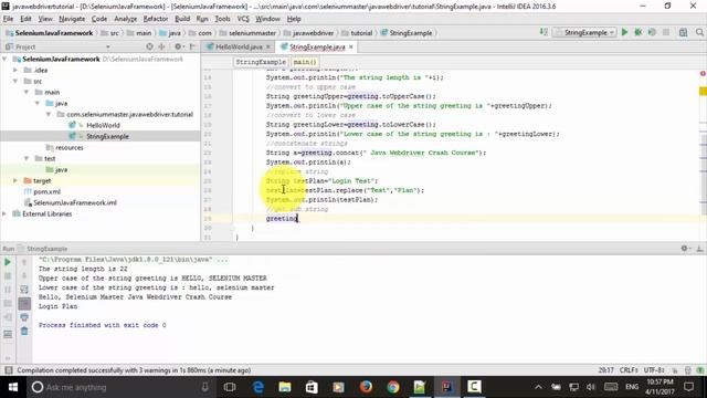 Selenium Java Webdriver -  Java  Data Type String