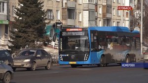 Горожане уже оценили комфорт новых автобусов