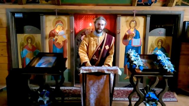 Биометрические паспорта- не печать Антихриста. Диак. Максим смотреть онлайн