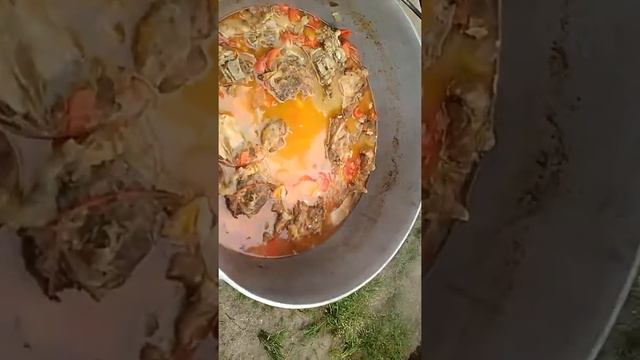 28 мая 2017 г. смотреть онлайн