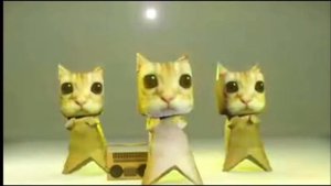 Коты жостко флексят под легендарную песню