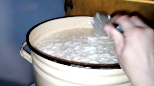Полутвердый сыр из козьего молока в домашних условиях
