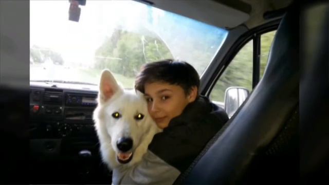 Красавец БШО смотреть онлайн