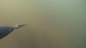 подводная охота на веселовском водохранилище май 2023