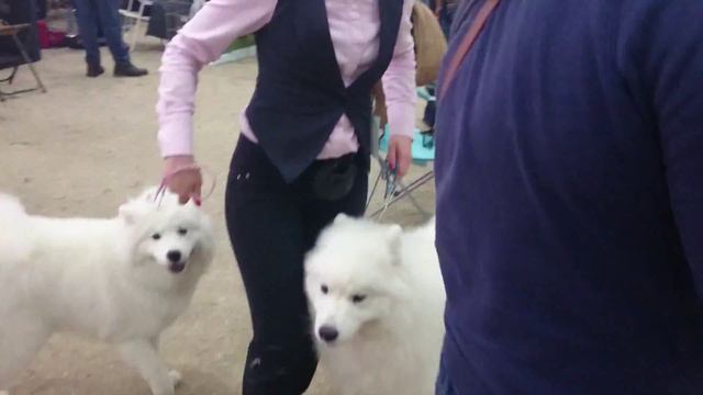 Рег выст лучший ЮНИОР Снежана смотреть онлайн