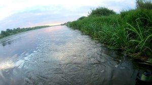 Ловля голавля на утренней зорьке на перекате. Рыбалка на спиннинг.