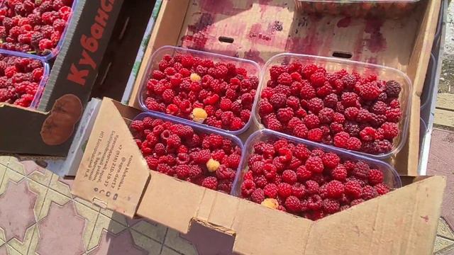 День приезда в Лазаревское/купаемся/ закат/ кафе Багульник
