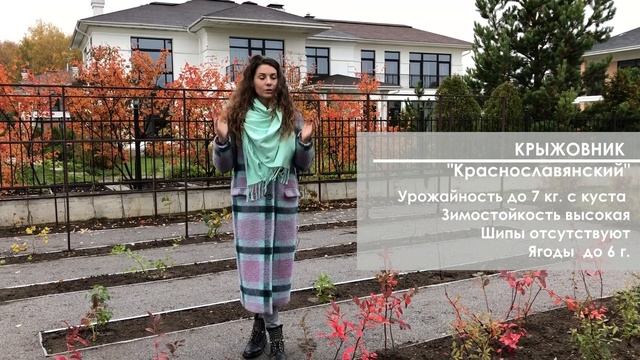 #плодовыйсад Закладка плодового сада и огорода | Плодовые деревья