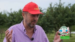 ВЫРАЩИВАНИЕ КАПУСТЫ БЕЛОКОЧАННОЙ