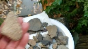 Mudlarking The Ohio River - Arrowhead Hunting - Indian Artifacts - ARCHAEOLOGY - Documentary -