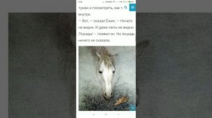 Ёжик в тумане