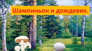 Плейкаст Иванов Арсений Считалка