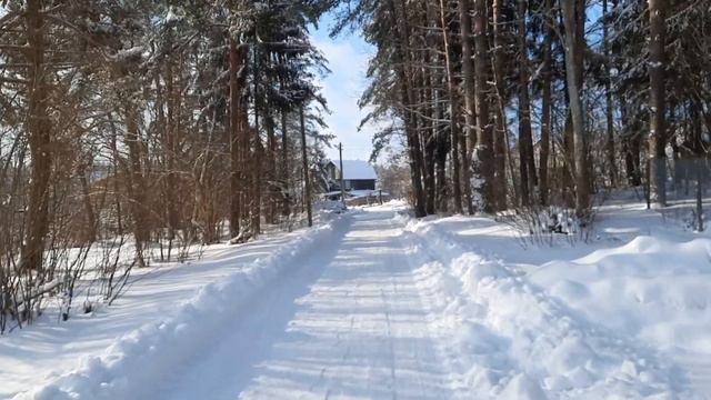 Поездка на дачу 06.02.2021 смотреть онлайн