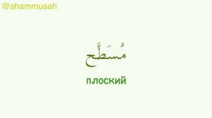 Арабские слова на каждый день | 50 прилагательных на арабском языке | часть 2